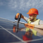 Brief Guide on Solar Panel Bird Proofing